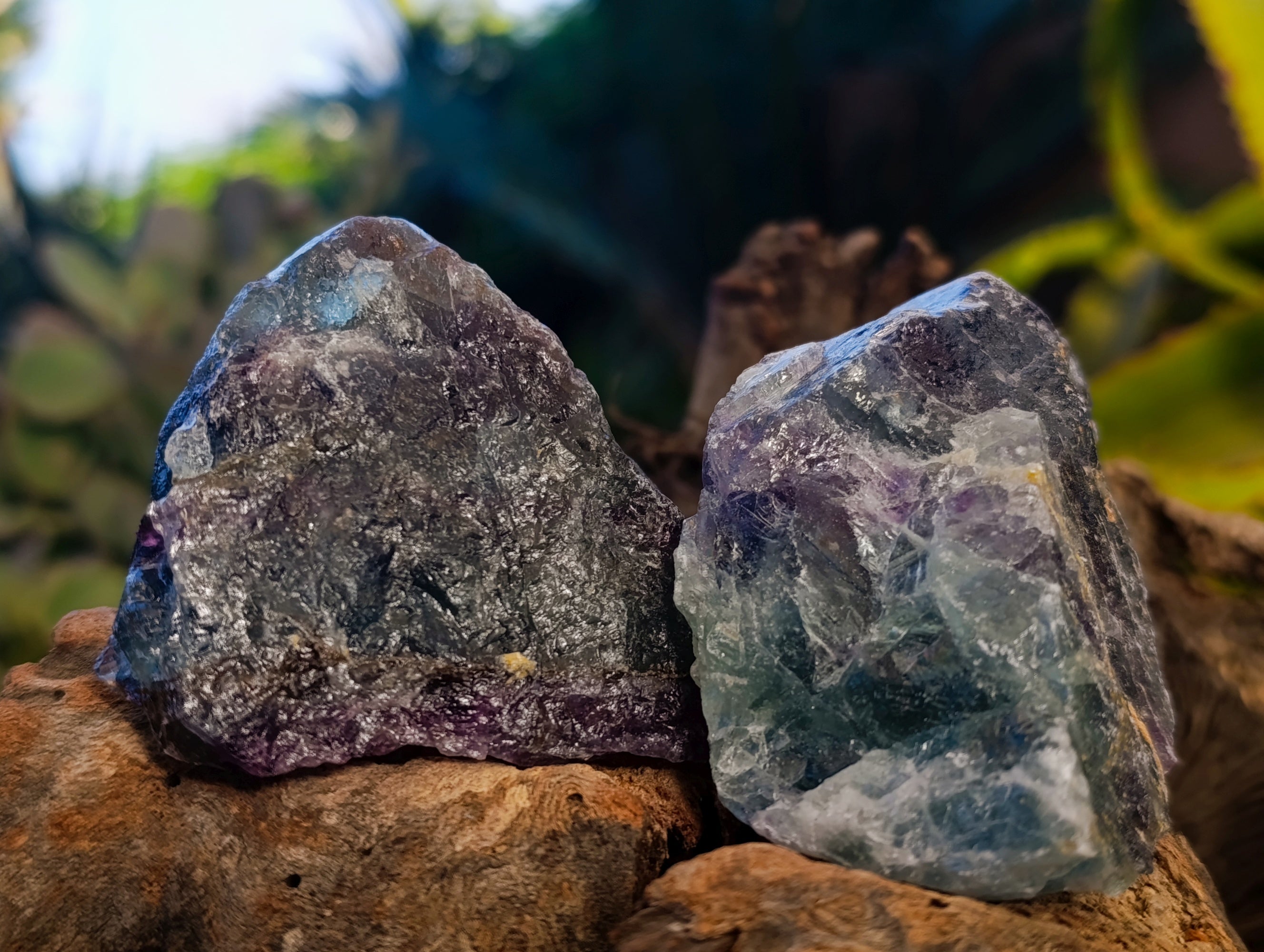 Natural Watermelon Fluorite Cobbed Specimens x 18 From Uis, Namibia - Toprock Gemstones and Minerals 