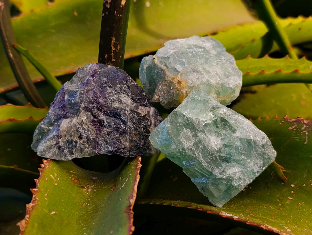Natural Watermelon Fluorite Cobbed Specimens x 18 From Uis, Namibia - Toprock Gemstones and Minerals 