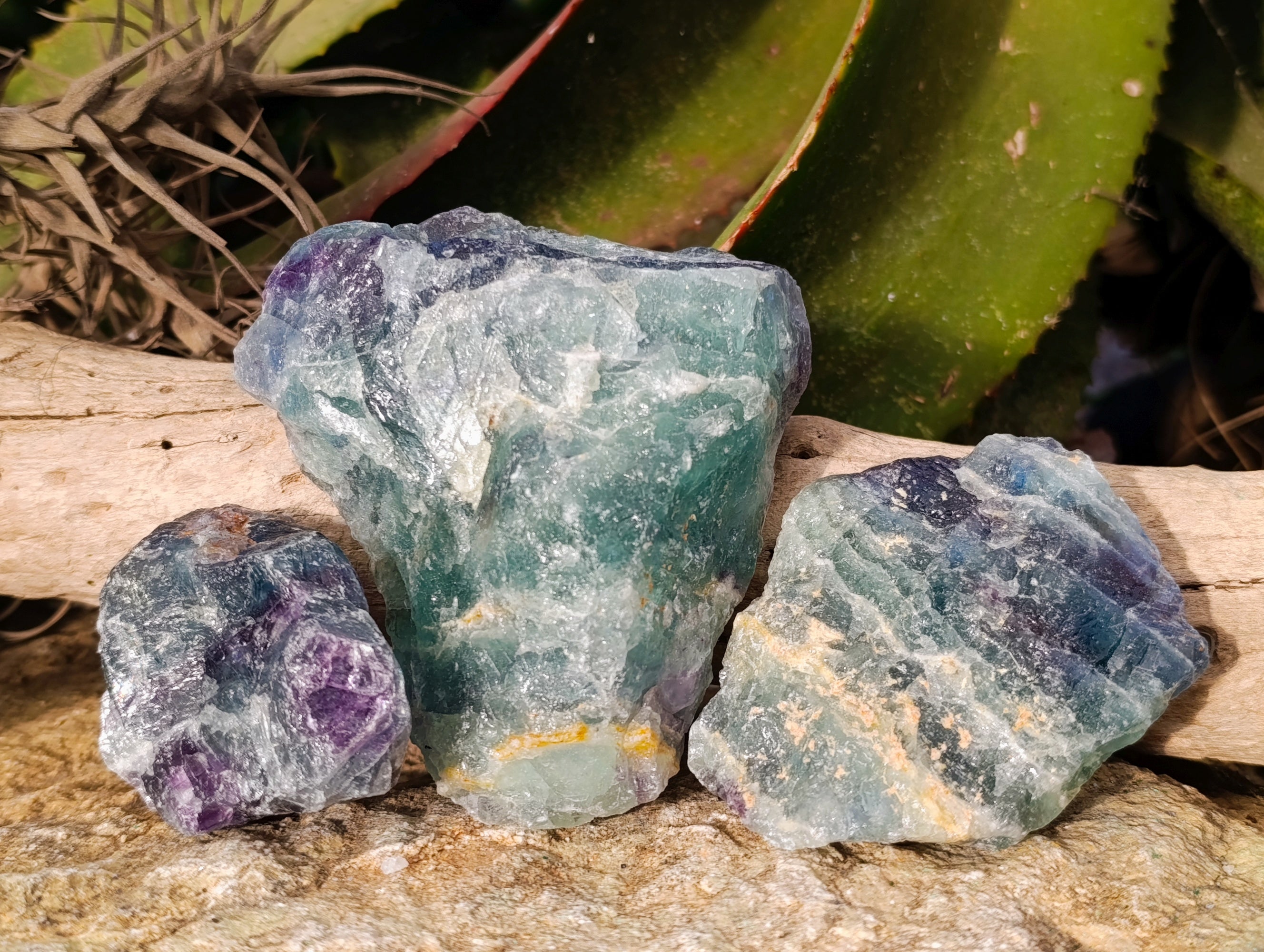 Natural Watermelon Fluorite Cobbed Specimens x 18 From Uis, Namibia - Toprock Gemstones and Minerals 