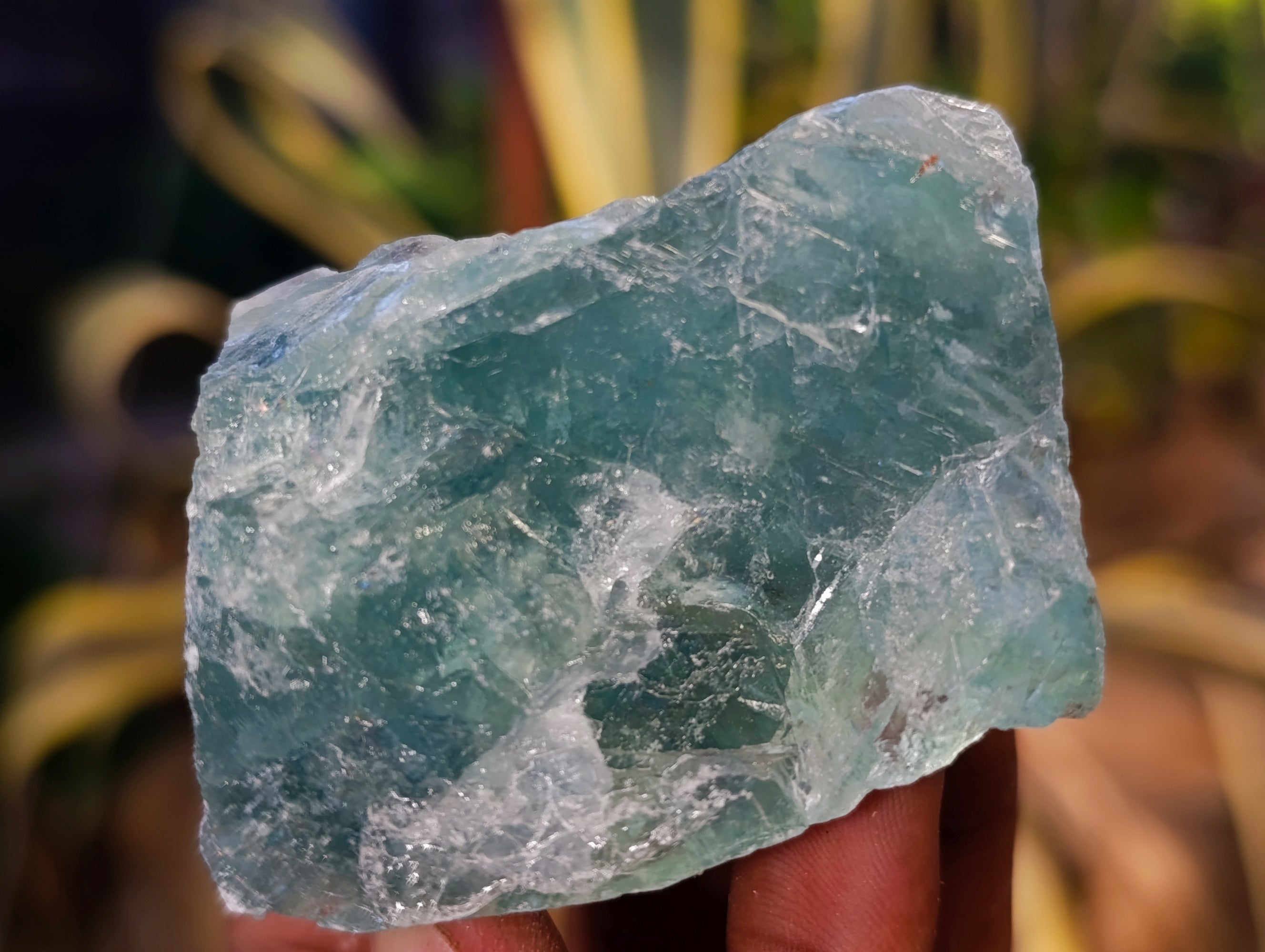Natural Watermelon Fluorite Cobbed Specimens x 18 From Uis, Namibia - Toprock Gemstones and Minerals 
