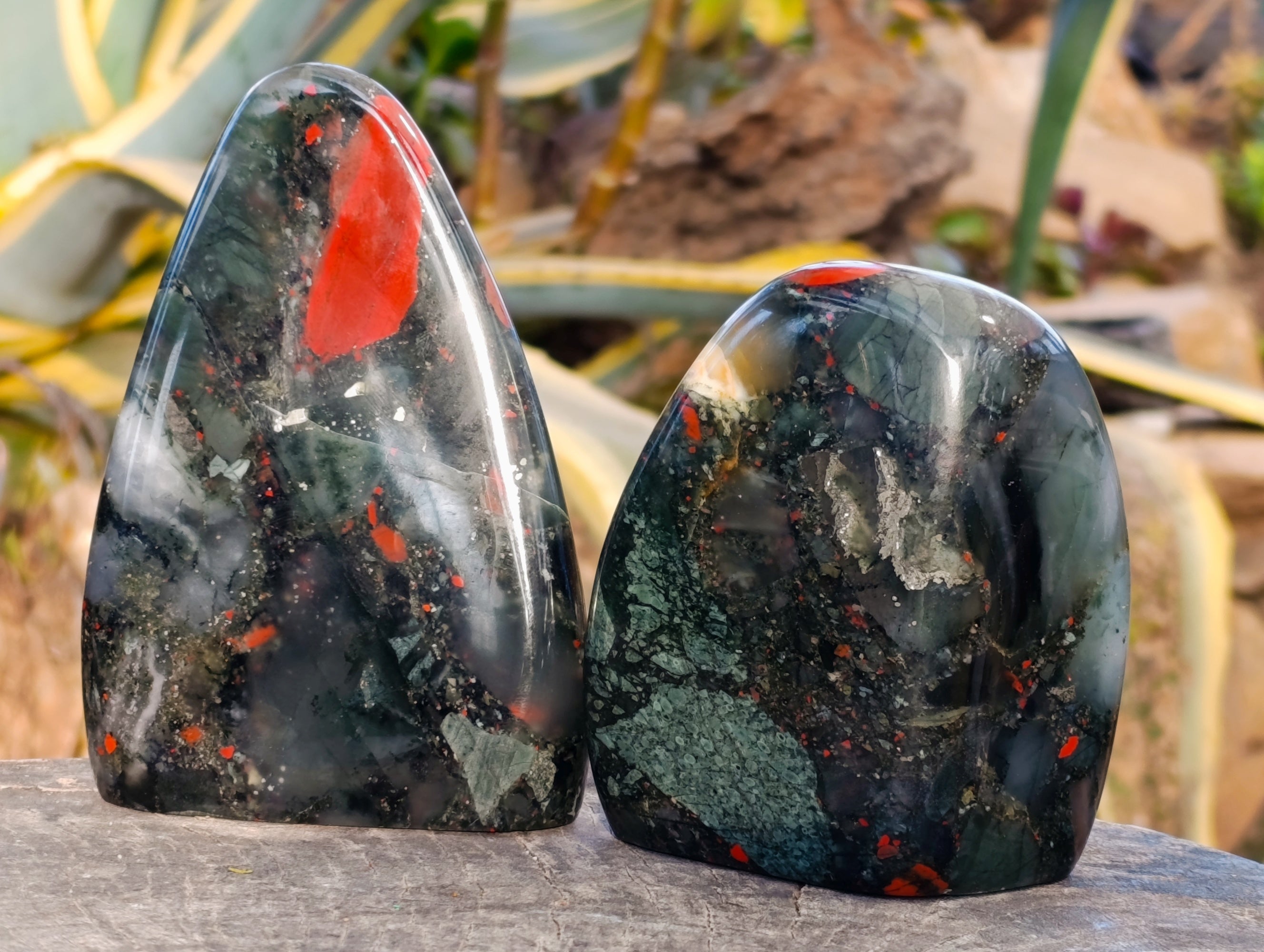 Polished Bloodstone Standing Free Forms x 2 From Swaziland - Toprock Gemstones and Minerals 