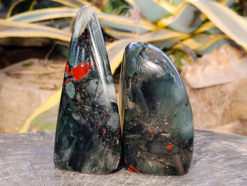 Polished Bloodstone Standing Free Forms x 2 From Swaziland - Toprock Gemstones and Minerals 