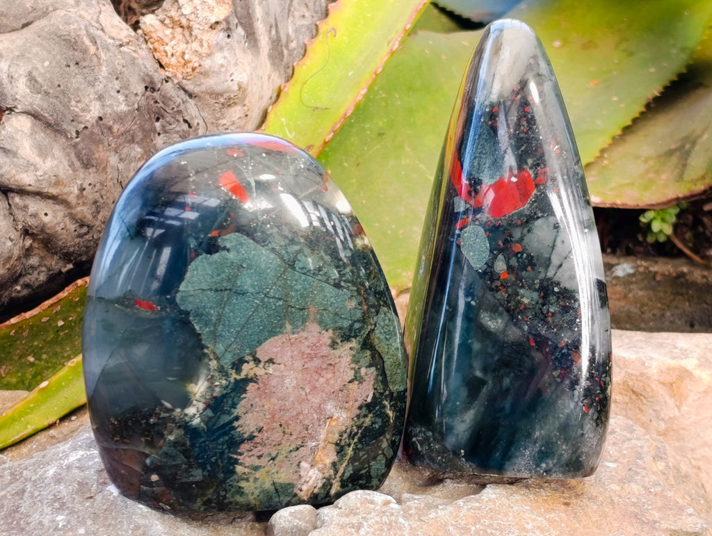 Polished Bloodstone Standing Free Forms x 2 From Swaziland - Toprock Gemstones and Minerals 