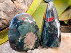 Polished Bloodstone Standing Free Forms x 2 From Swaziland - Toprock Gemstones and Minerals 