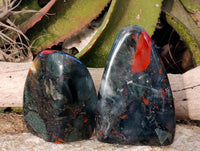 Polished Bloodstone Standing Free Forms x 2 From Swaziland