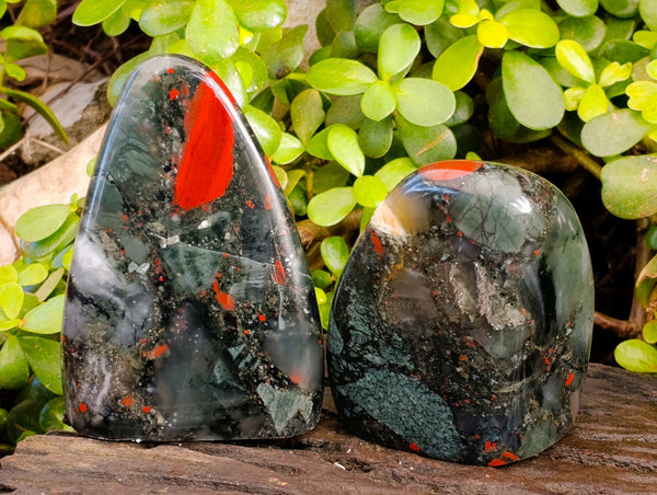 Polished Bloodstone Standing Free Forms x 2 From Swaziland