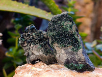 Natural Libethenite Crystals On Dolomite Matrix Specimens x 12 From Shituru, Congo