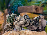 Natural Libethenite Crystals On Dolomite Matrix Specimens x 12 From Shituru, Congo