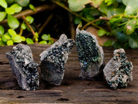 Natural Libethenite Crystals On Dolomite Matrix Specimens x 12 From Shituru, Congo