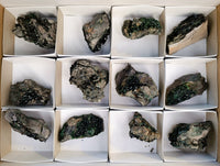 Natural Libethenite Crystals On Dolomite Matrix Specimens x 12 From Shituru, Congo
