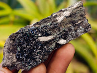 Natural Libethenite Crystals On Dolomite Matrix Specimens x 12 From Shituru, Congo