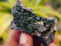 Natural Libethenite Crystals On Dolomite Matrix Specimens x 12 From Shituru, Congo