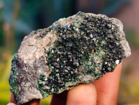 Natural Libethenite Crystals On Dolomite Matrix Specimens x 12 From Shituru, Congo