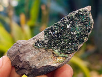 Natural Libethenite Crystals On Dolomite Matrix Specimens x 12 From Shituru, Congo