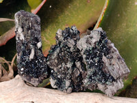Natural Libethenite Crystals On Dolomite Matrix Specimens x 12 From Shituru, Congo