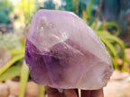 Polished Smokey Window Amethyst Quartz Crystals x 2 From Akansobe, Madagascar - Toprock Gemstones and Minerals 