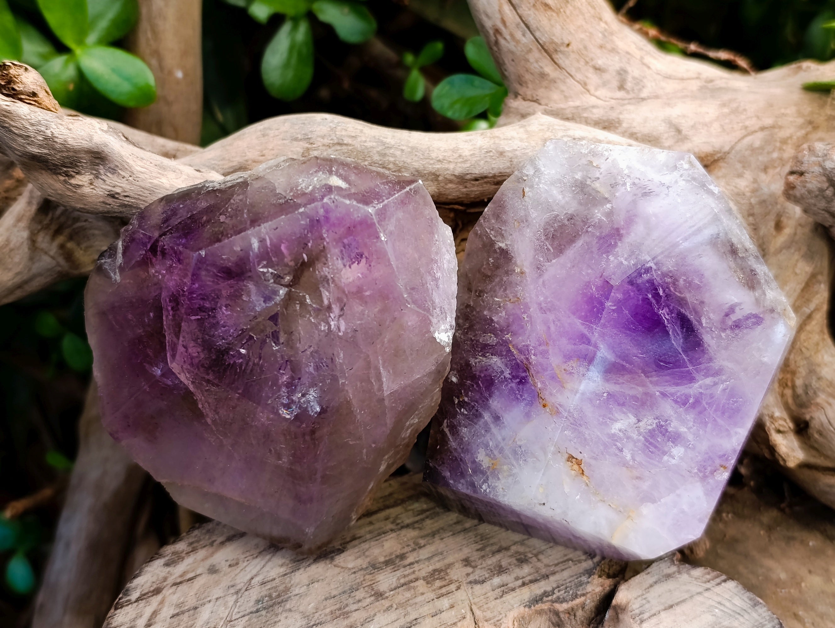 Polished Smokey Window Amethyst Quartz Crystals x 2 From Akansobe, Madagascar - Toprock Gemstones and Minerals 
