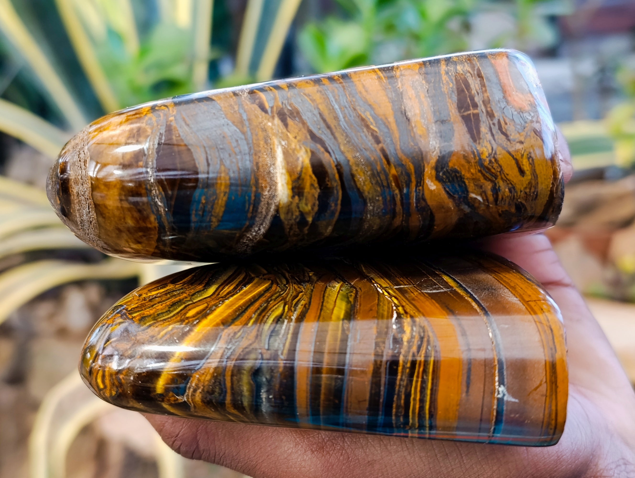 Polished Tiger's Eye Standing Free Forms x 2 From Prieska, South Africa - Toprock Gemstones and Minerals 