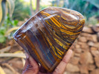 Polished Tiger's Eye Standing Free Forms x 2 From Prieska, South Africa - Toprock Gemstones and Minerals 