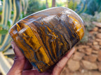 Polished Tiger's Eye Standing Free Forms x 2 From Prieska, South Africa - Toprock Gemstones and Minerals 
