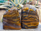 Polished Tiger's Eye Standing Free Forms x 2 From Prieska, South Africa - Toprock Gemstones and Minerals 