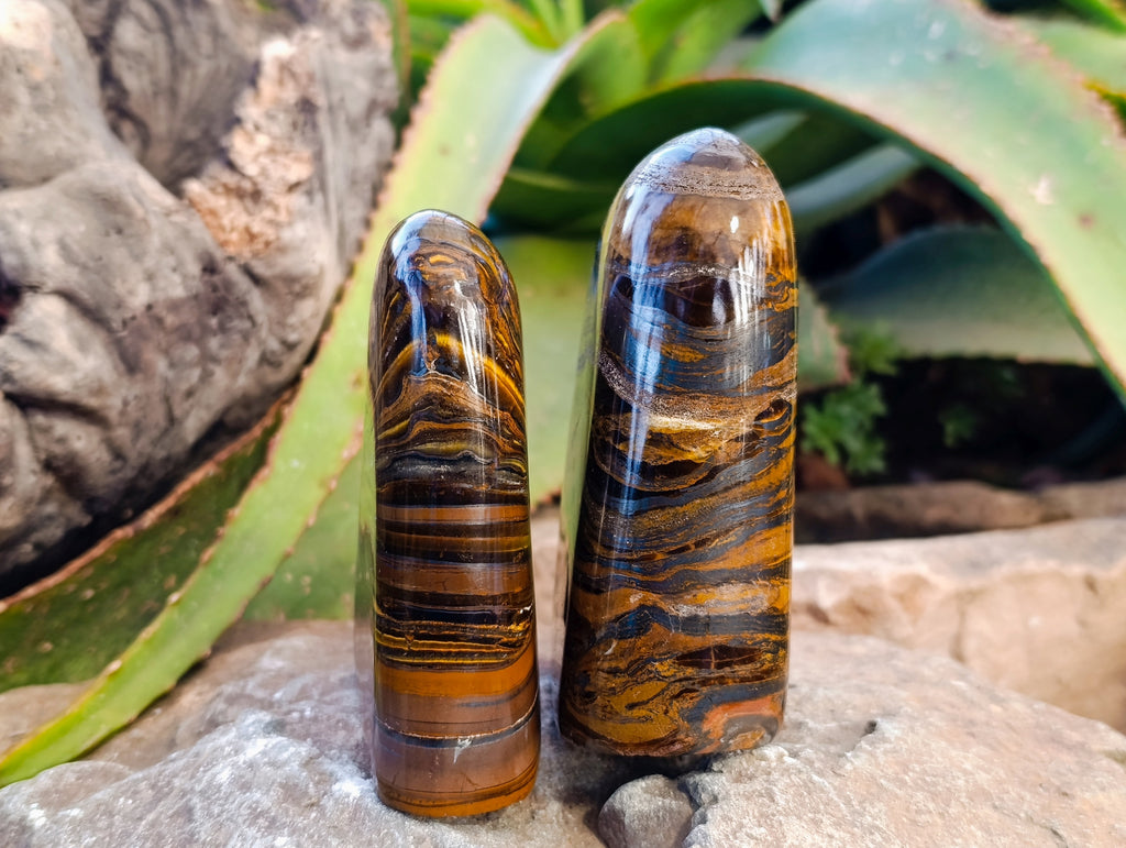 Polished Tiger's Eye Standing Free Forms x 2 From Prieska, South Africa - Toprock Gemstones and Minerals 