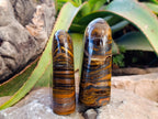 Polished Tiger's Eye Standing Free Forms x 2 From Prieska, South Africa - Toprock Gemstones and Minerals 