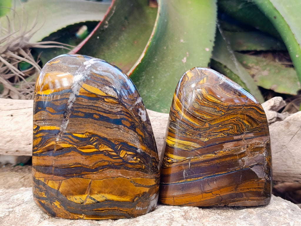 Polished Tiger's Eye Standing Free Forms x 2 From Prieska, South Africa - Toprock Gemstones and Minerals 