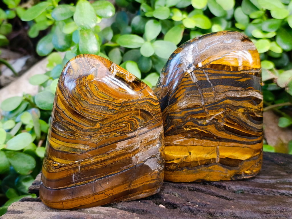 Polished Tiger's Eye Standing Free Forms x 2 From Prieska, South Africa - Toprock Gemstones and Minerals 