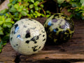Polished Leopard Stone Spheres x 2 From Nyanga, Zimbabwe - Toprock Gemstones and Minerals 