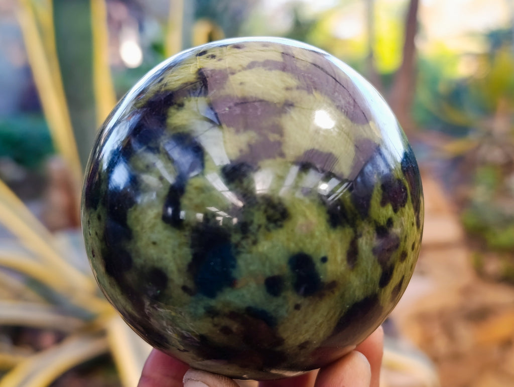 Polished Leopard Stone Spheres x 2 From Nyanga, Zimbabwe - Toprock Gemstones and Minerals 