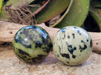 Polished Leopard Stone Spheres x 2 From Nyanga, Zimbabwe - Toprock Gemstones and Minerals 