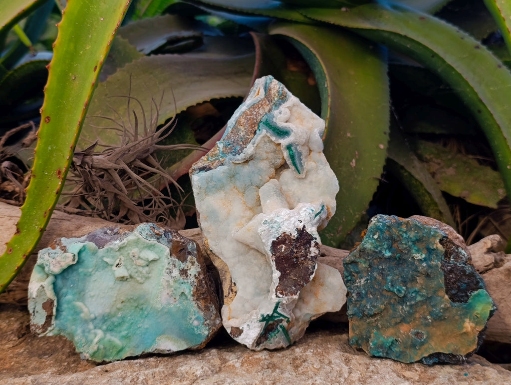Natural Drusy Coated Chrysocolla With Hemimorphite and Malachite Specimens x 3 From Congo - Toprock Gemstones and Minerals 
