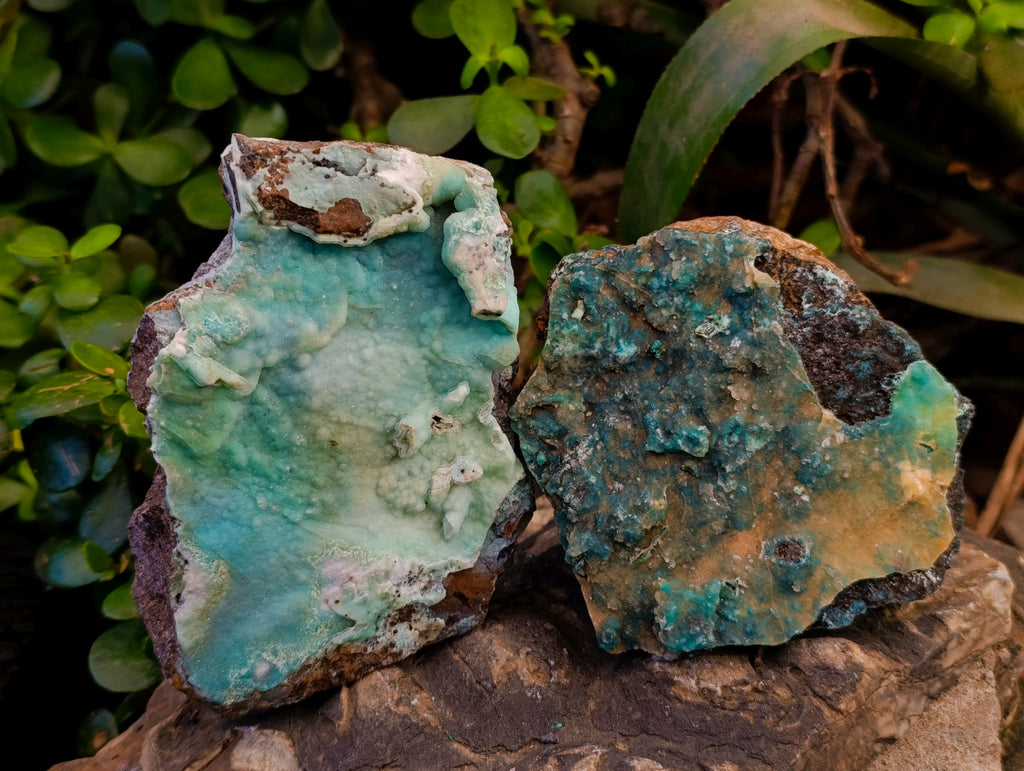 Natural Drusy Coated Chrysocolla With Hemimorphite and Malachite Specimens x 3 From Congo - Toprock Gemstones and Minerals 