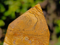 Polished Picture Stone Jasper Points x 3 From Ais-Ais, Namibia - Toprock Gemstones and Minerals 