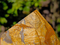 Polished Picture Stone Jasper Points x 3 From Ais-Ais, Namibia - Toprock Gemstones and Minerals 