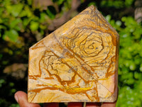 Polished Picture Stone Jasper Points x 3 From Ais-Ais, Namibia - Toprock Gemstones and Minerals 