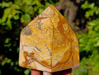 Polished Picture Stone Jasper Points x 3 From Ais-Ais, Namibia - Toprock Gemstones and Minerals 