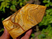 Polished Picture Stone Jasper Points x 3 From Ais-Ais, Namibia - Toprock Gemstones and Minerals 