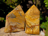 Polished Picture Stone Jasper Points x 3 From Ais-Ais, Namibia - Toprock Gemstones and Minerals 