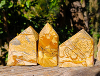 Polished Picture Stone Jasper Points x 3 From Ais-Ais, Namibia - Toprock Gemstones and Minerals 