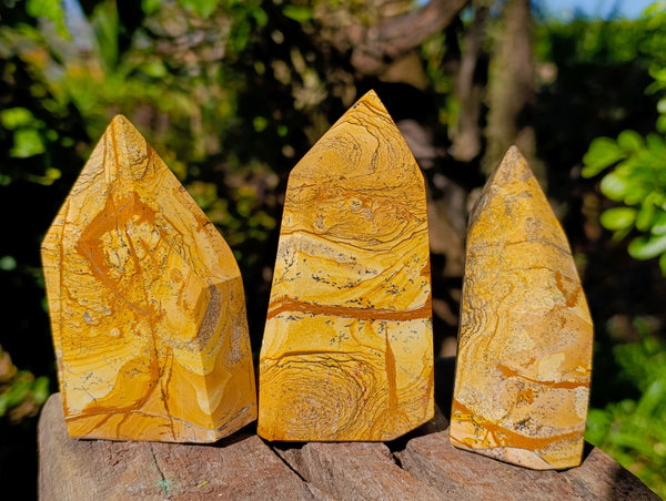 Polished Picture Stone Jasper Points x 3 From Ais-Ais, Namibia