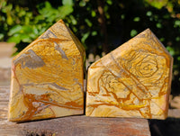 Polished Picture Stone Jasper Points x 3 From Ais-Ais, Namibia - Toprock Gemstones and Minerals 