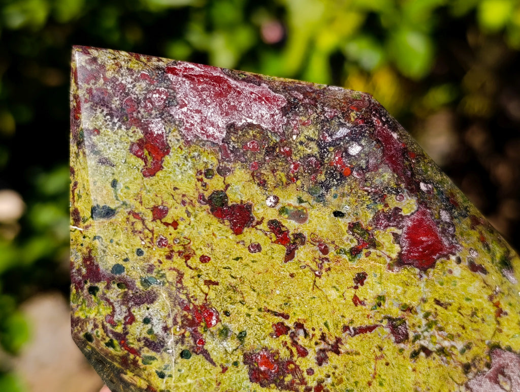 Polished Bastite Dragons Blood Stone Points x 2 From Tshipise, South Africa - Toprock Gemstones and Minerals 