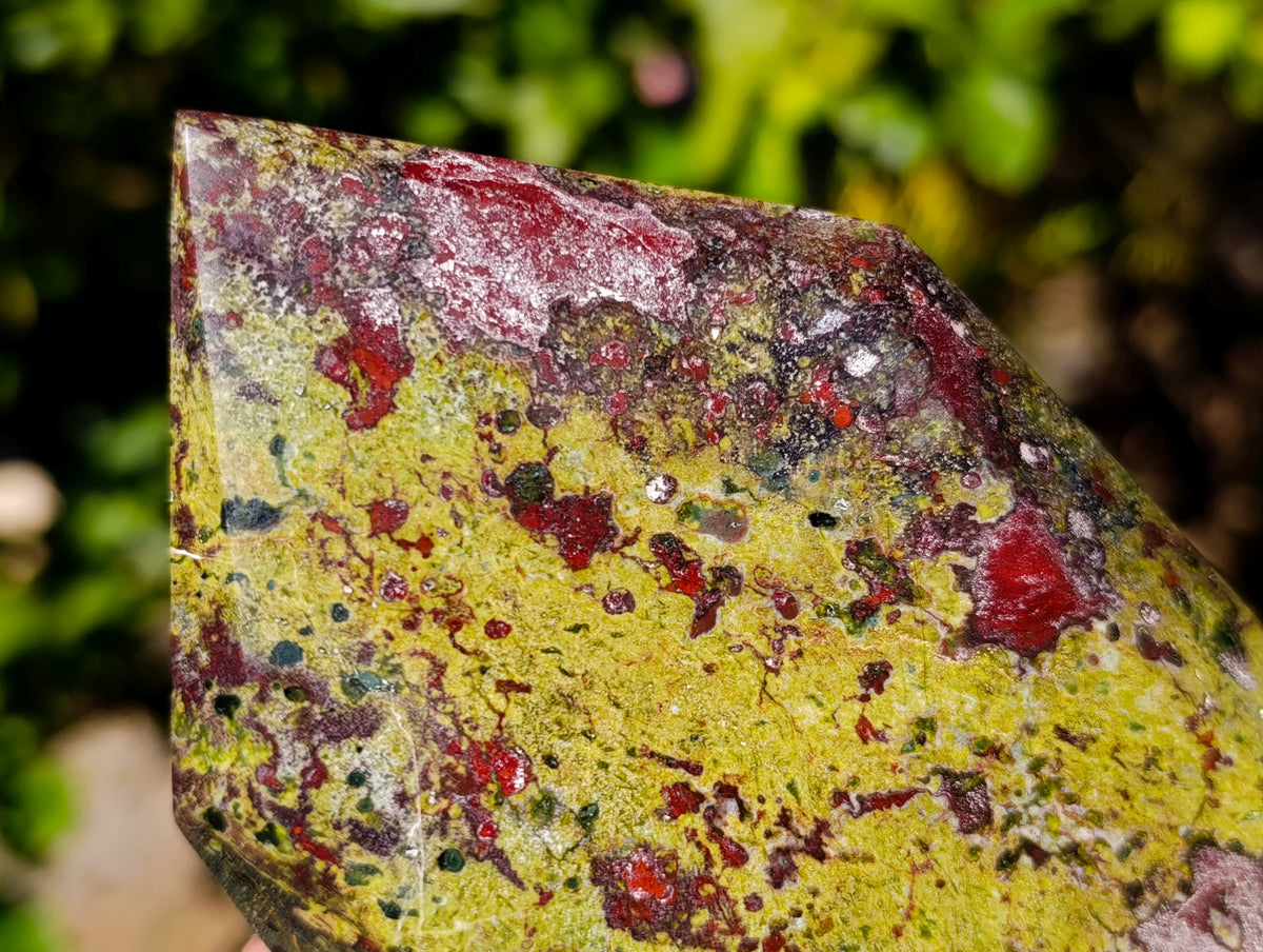 Polished Bastite Dragons Blood Stone Points x 2 From Tshipise, South Africa - Toprock Gemstones and Minerals 