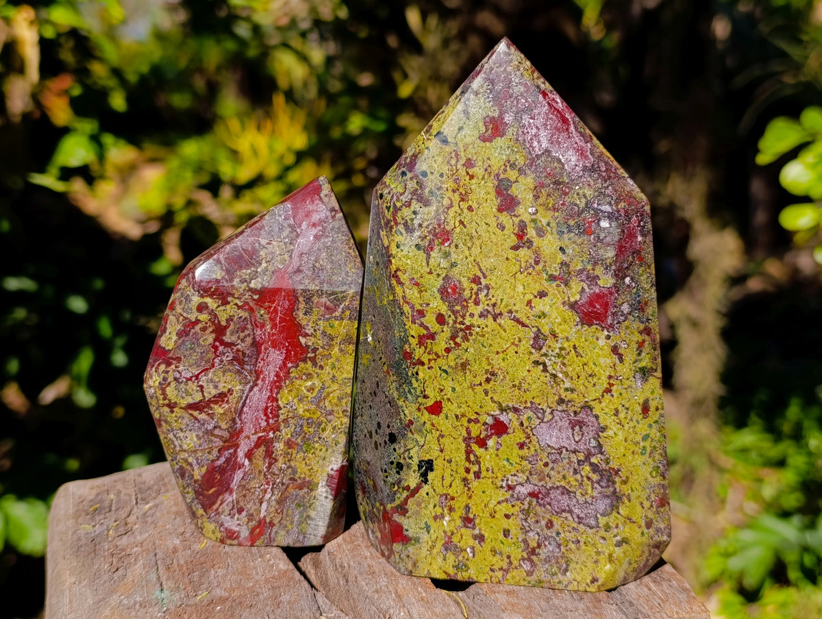 Polished Bastite Dragons Blood Stone Points x 2 From Tshipise, South Africa - Toprock Gemstones and Minerals 