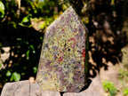 Polished Bastite Dragons Blood Stone Points x 2 From Tshipise, South Africa - Toprock Gemstones and Minerals 