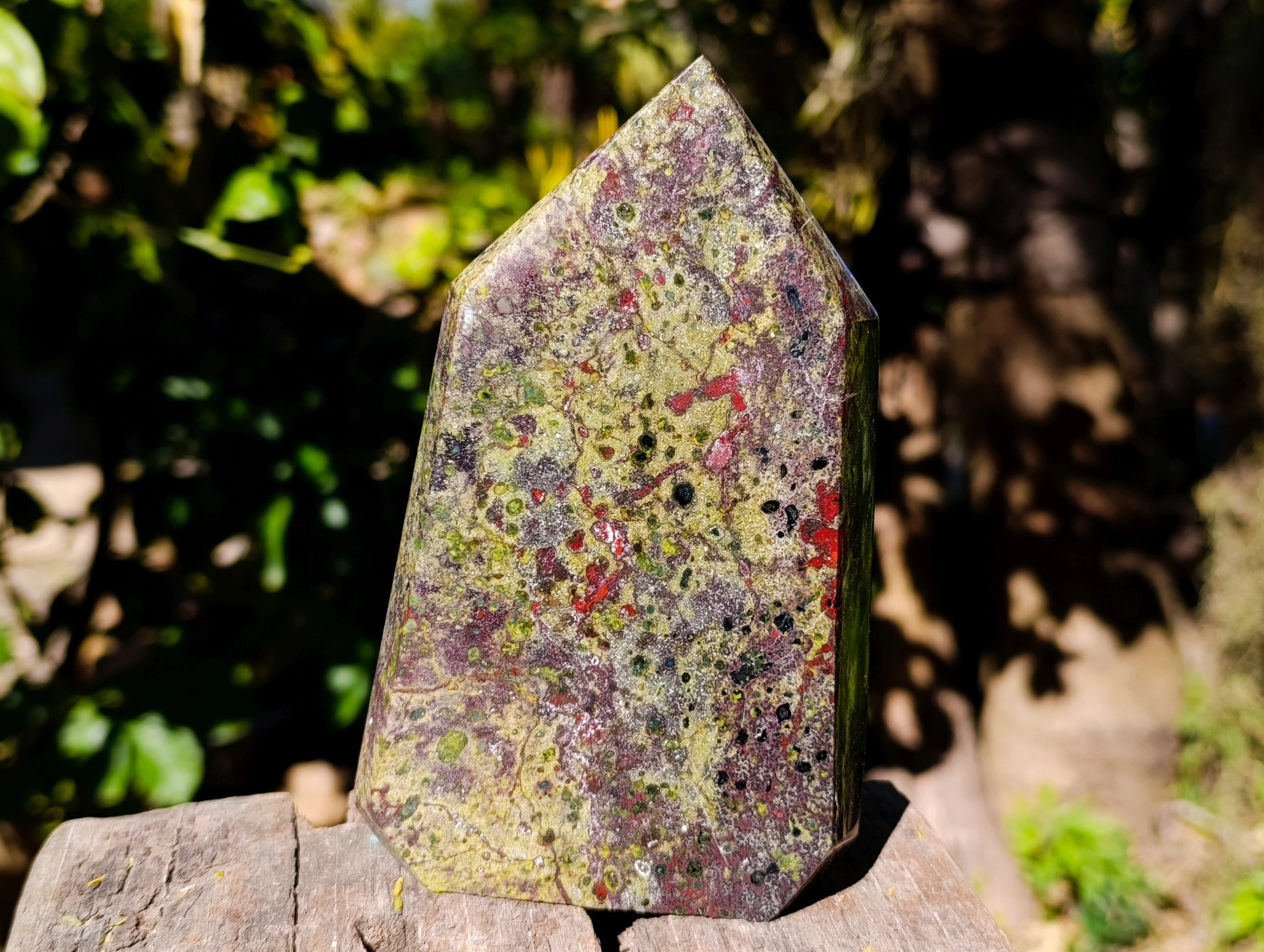 Polished Bastite Dragons Blood Stone Points x 2 From Tshipise, South Africa - Toprock Gemstones and Minerals 