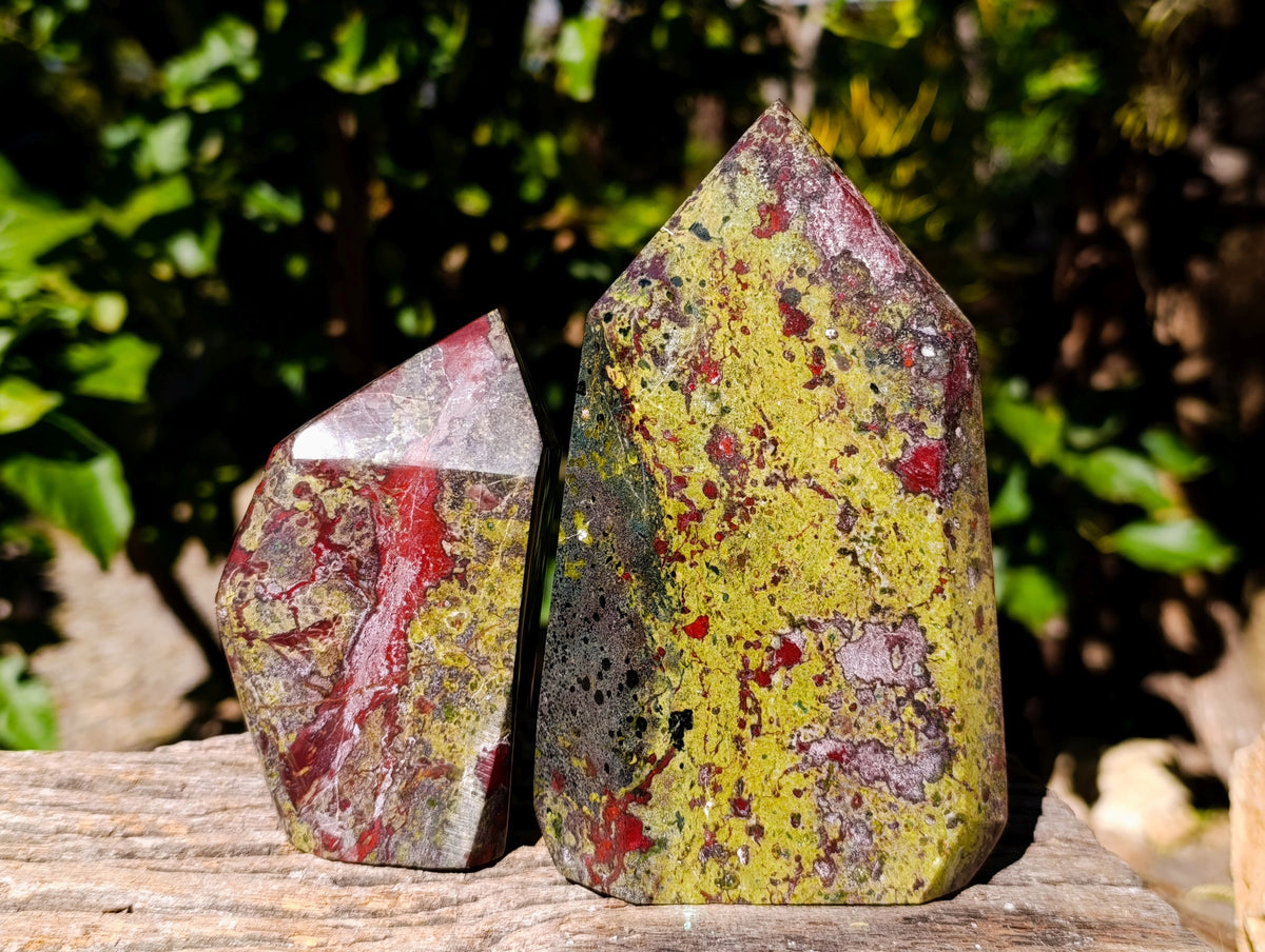 Polished Bastite Dragons Blood Stone Points x 2 From Tshipise, South Africa - Toprock Gemstones and Minerals 
