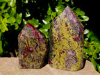 Polished Bastite Dragons Blood Stone Points x 2 From Tshipise, South Africa - Toprock Gemstones and Minerals 